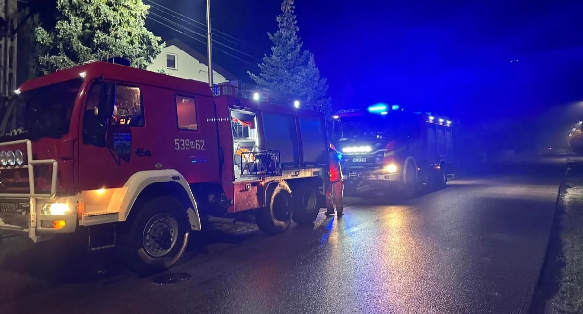 Pożar sadzy w Nowym Wilkowie (fot. KP PSP w Nowym Dworze Mazowieckim)