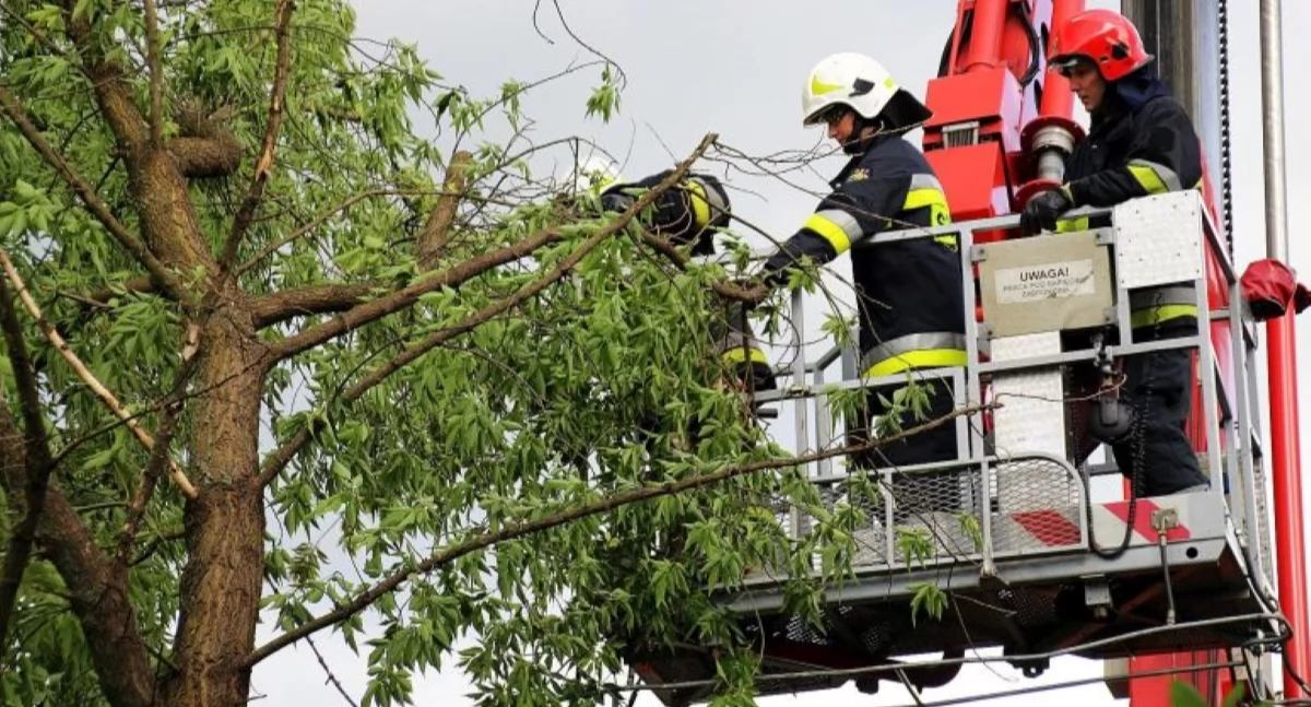 Interwencja Straży Pożarnej (zdjęcie poglądowe, arch. KN)