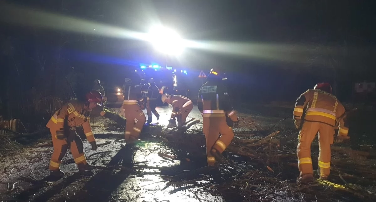 Drzewo powalone na drogę w Starej Dąbrowie (fot. KP PSP w Nowym Dworze Mazowieckim)
