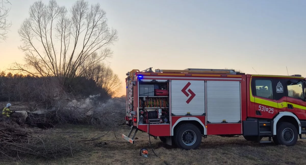 Pożar trawy i drzew w Secyminie Polskim (fot. KP PSP w Nowym Dworze Mazowieckim)
