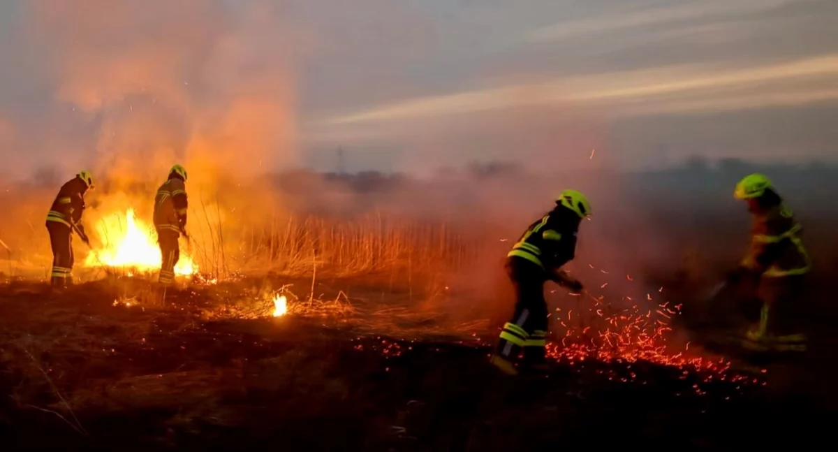 Pożar traw i nieużytków w Nowym Dworze Mazowieckim przy ulicy Strażackiej (fot. OSP Nowy Dwór Mazowiecki)