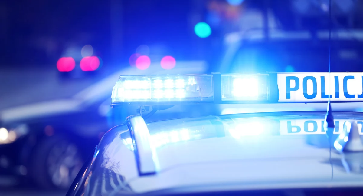 Policja (fot. adobe.stock)