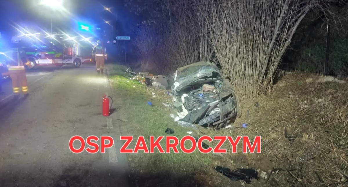 W Zakroczymiu auto wypadło z drogi i uderzyło w drzewo (fot. OSP Zakroczym)