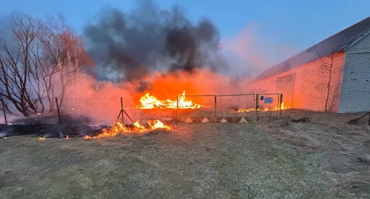 Pożar budynku gospodarczego w Cybulicach (fot. KP PSP w Nowym Dworze Mazowieckim)