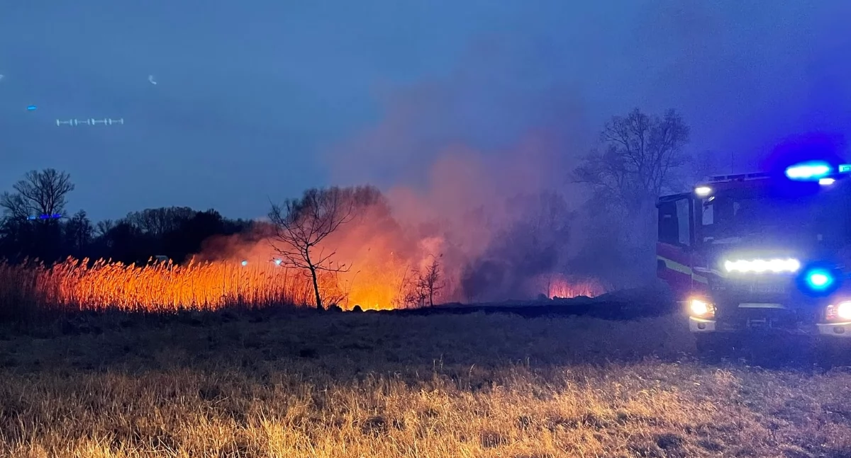 Pożar traw i nieużytków w niedzielę (23 marca) na terenie powiatu nowodworskiego (fot. KP PSP w Nowym Dworze Mazowieckim)