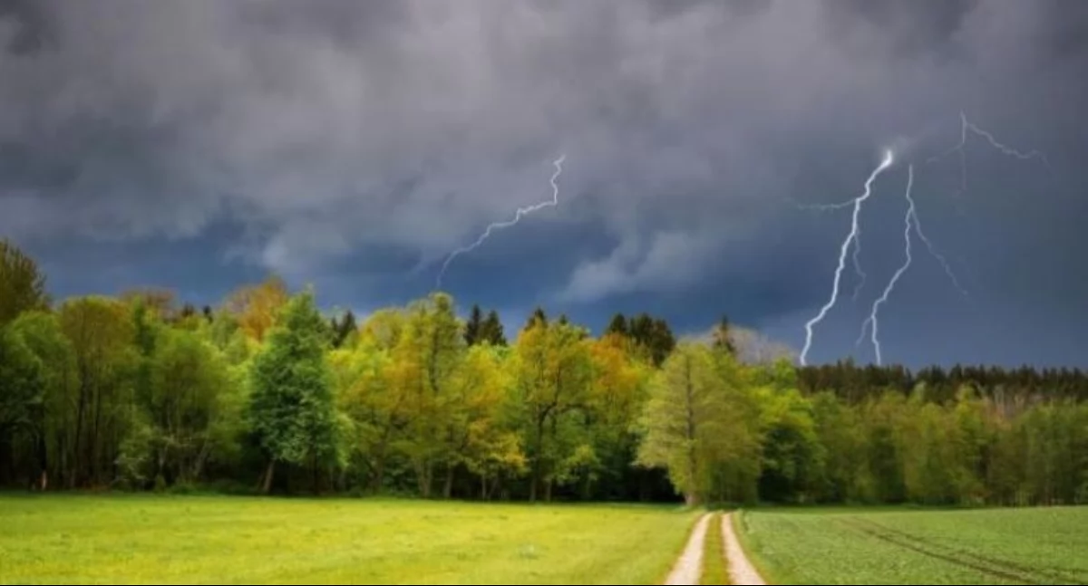 Burza (fot. lasy.gov.pl)