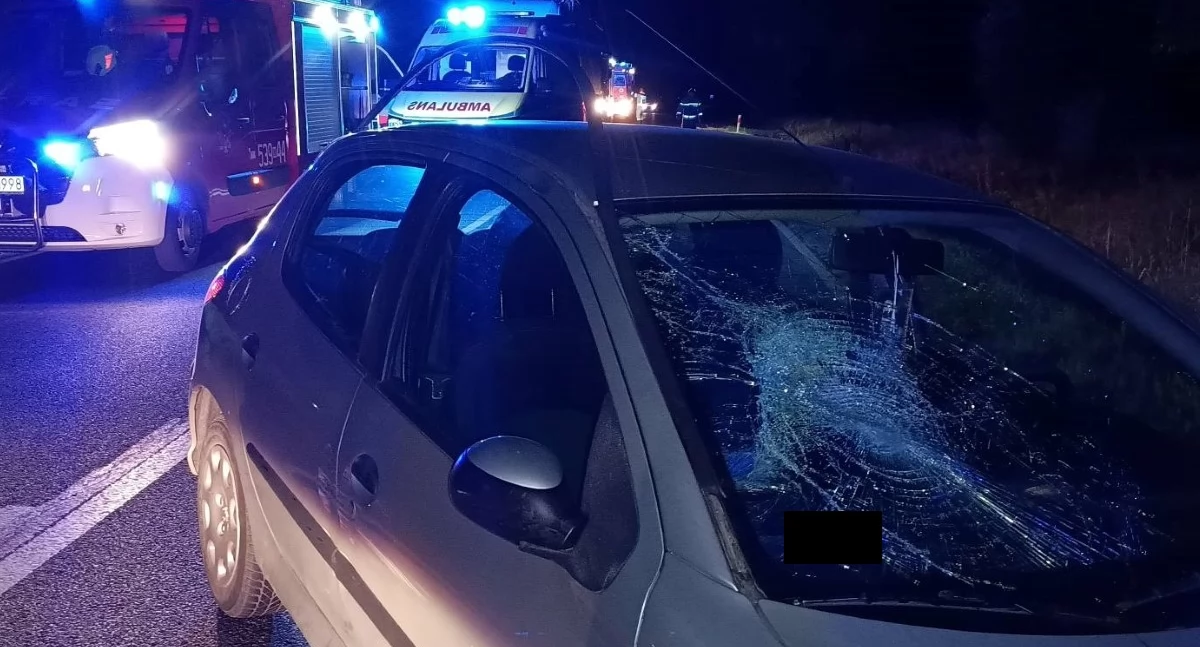 Potrącenie pieszego w Kikołach na DK 62 (fot. OSP Pomiechówek)