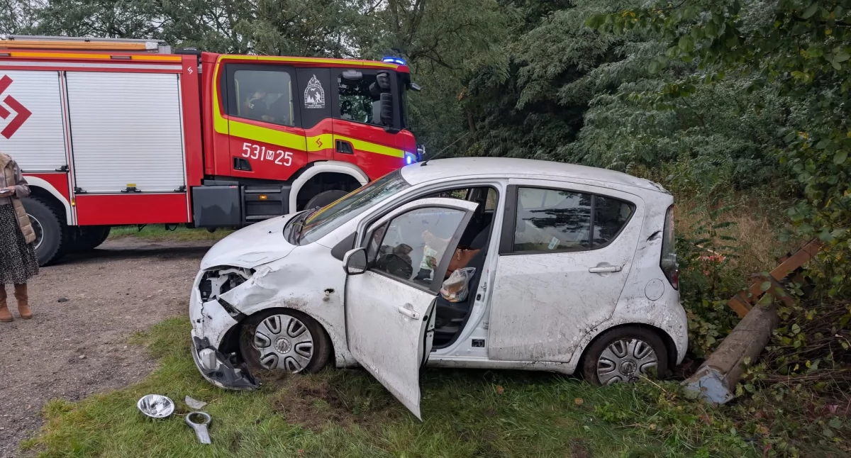 W Sadach kierująca samochodem osobowym uderzyła w słup (fot. KP PSP w Nowym Dworze Mazowieckim)