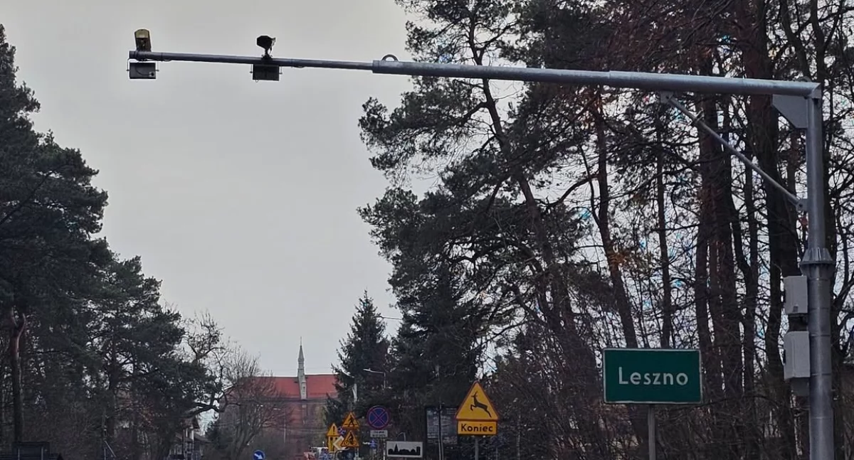 Transport, Odcinkowy pomiar prędkości działa chronić kierowców przyrodę Puszczy Kampinoskiej - zdjęcie, fotografia
