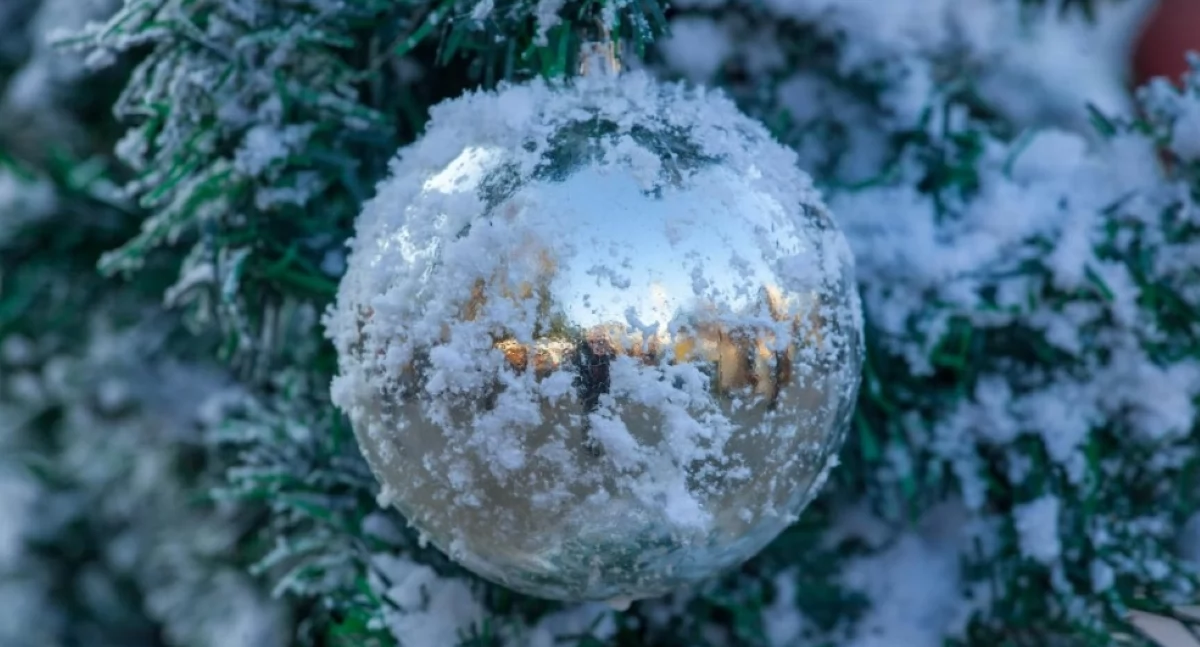 fot. www.pexels.com