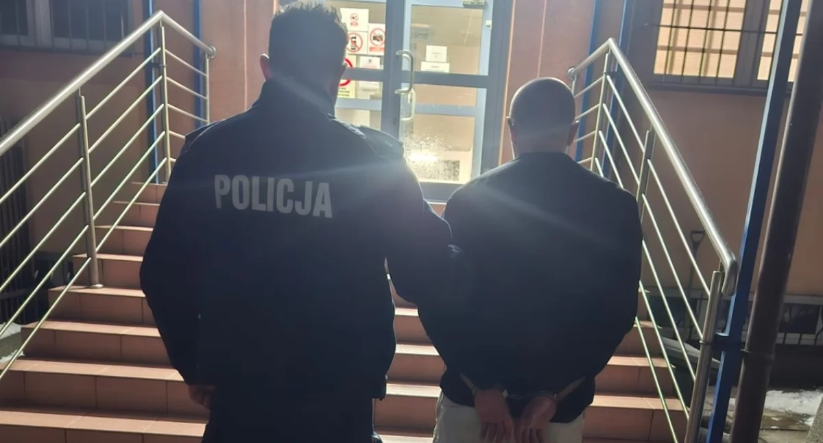 Służby, Zniszczył wbiegł jezdnię latek Nasielska usłyszał zarzuty - zdjęcie, fotografia