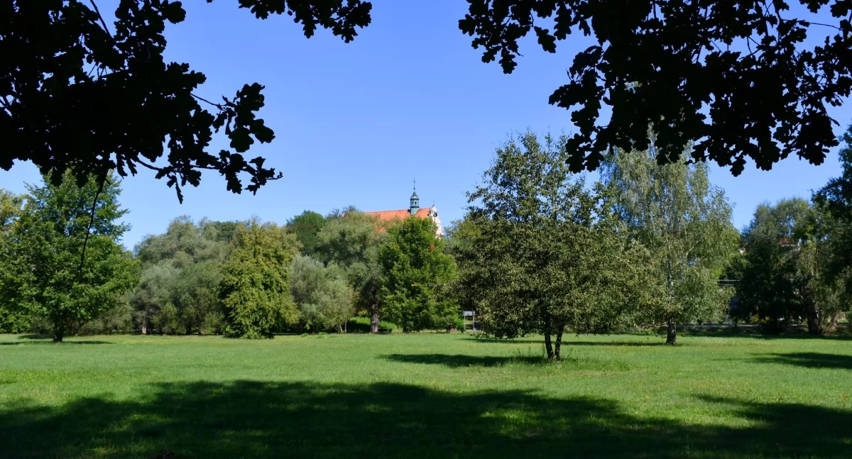 Park Topólki (fot. Urząd Miejski w Zakroczymiu)