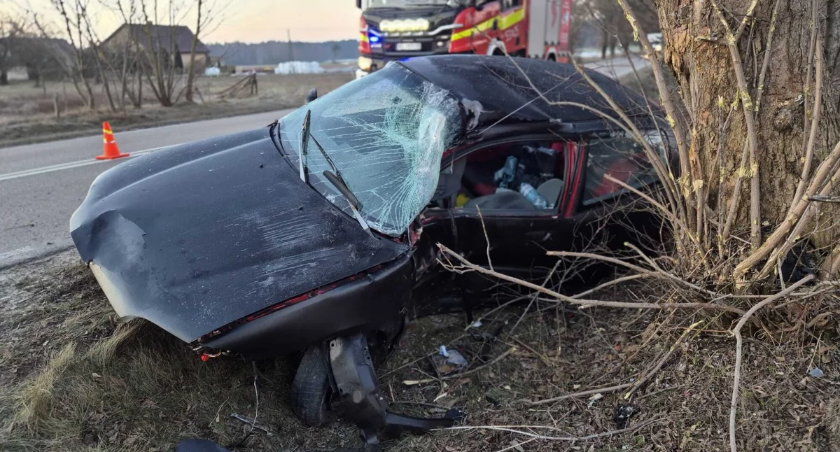W Psucinie kierowca Hondy uderzył w przepust i drzewo (fot. KP PSP w Nowym Dworze Mazowieckim)