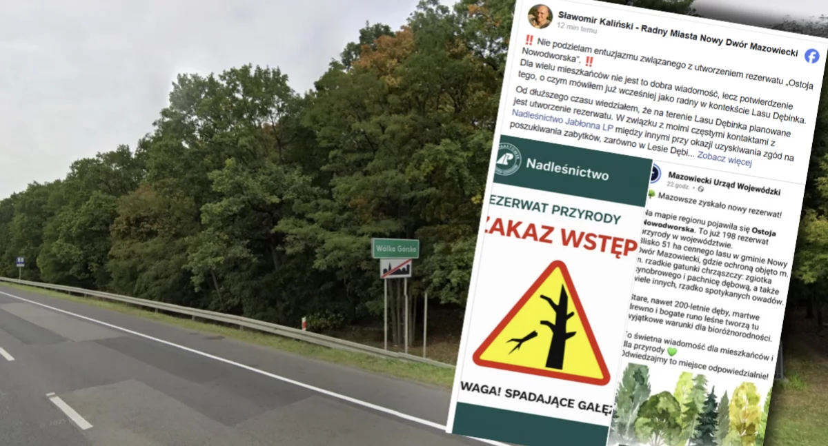 Aktualności , rezerwat Lesie Dębinka budzi kontrowersje radny Kaliński ostrzega ograniczeniach zagrożeniach - zdjęcie, fotografia