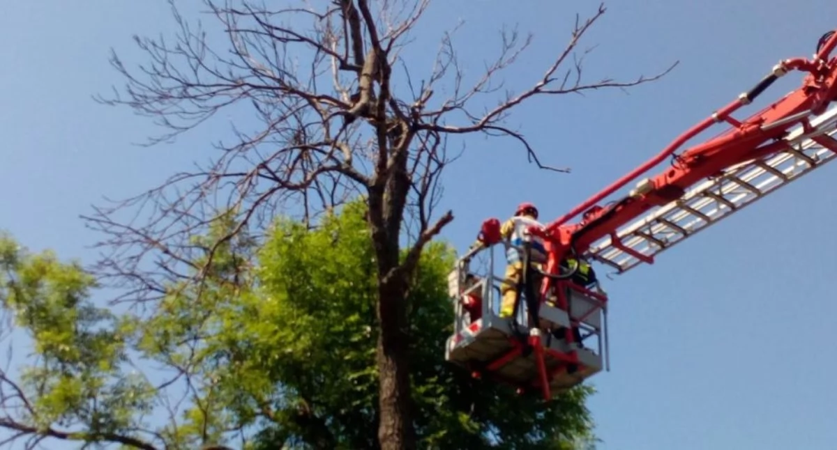 Zdjęcie podglądowe, fot. KP PSP w Rawiczu