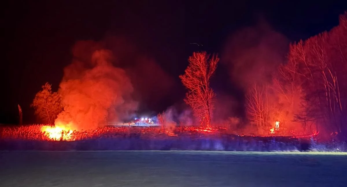 Pożar trawy i trzciny nad Wisłą (fot. KP PSP w Nowym Dworze Mazowieckim)