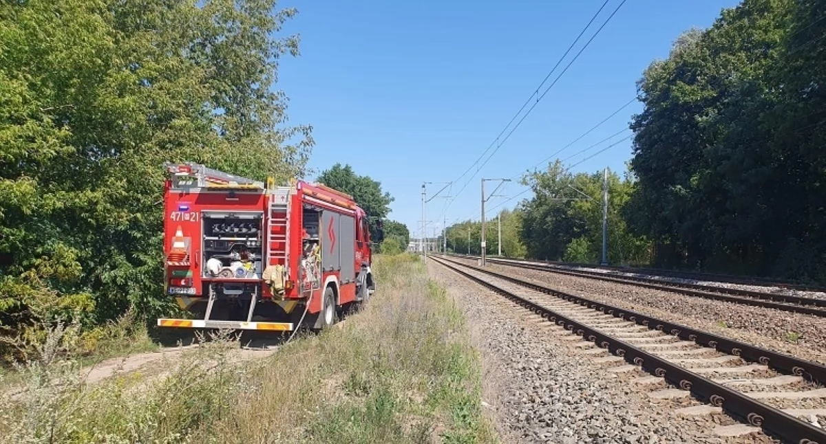 Pożar trawy (zdjęcie ilustracyjne, fot. KP PSP w Legionowie)