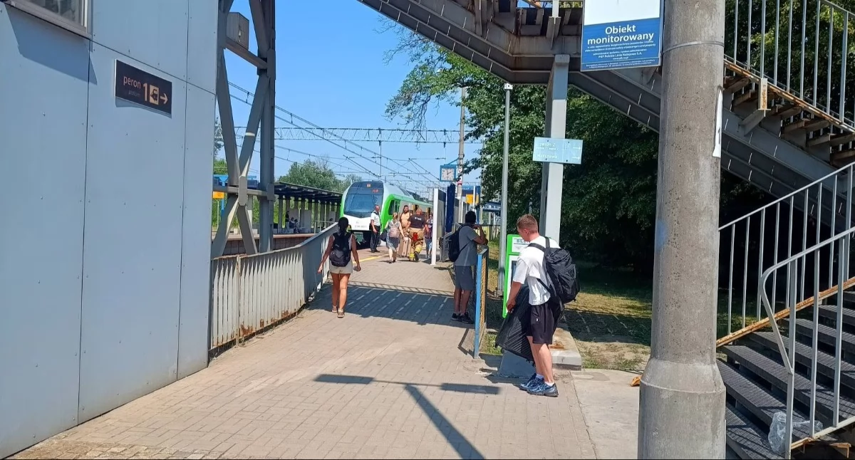  Zdjęcia: OSP Pomiechówek/Facebook