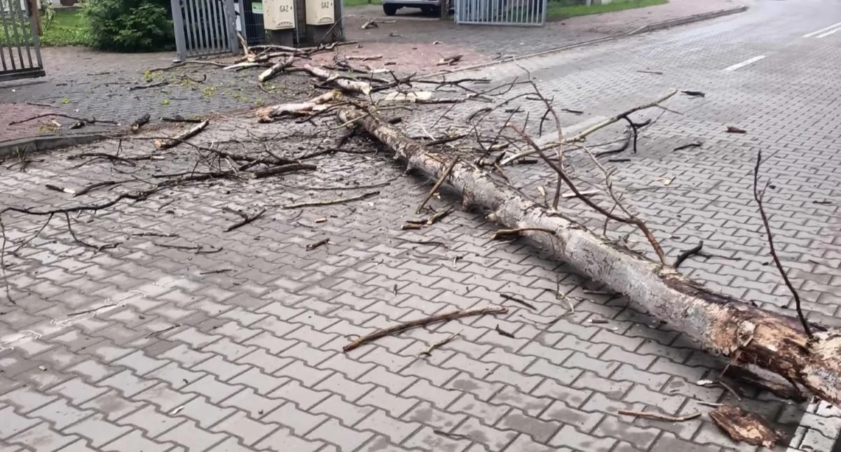 zdjęcie ilustracyjne (fot. KP PSP w Legionowie)
