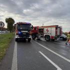 Fotka nr 1 z 4