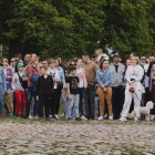 zdjęcie nr 36