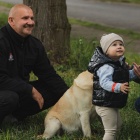 zdjęcie nr 120