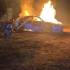 Fotka nr 2 z 5