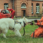 zdjęcie nr 123