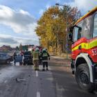 Fotka nr 2 z 4