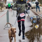 zdjęcie nr 19
