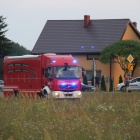 zdjęcie nr 8