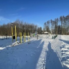 zdjęcie nr 9