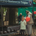 zdjęcie nr 140