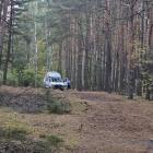 Fotka nr 5 z 7