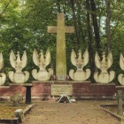 zdjęcie nr 56