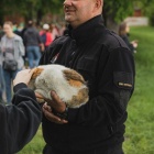 zdjęcie nr 116