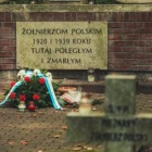 zdjęcie nr 52