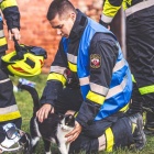 zdjęcie nr 10