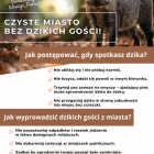 Fotka nr 0 z 2