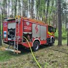 Fotka nr 2 z 4
