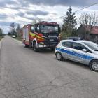Fotka nr 1 z 3