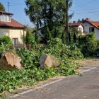 zdjęcie nr 11