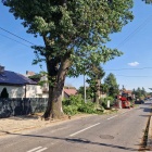 zdjęcie nr 7