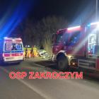 Fotka nr 2 z 4
