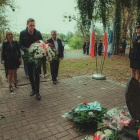 zdjęcie nr 28