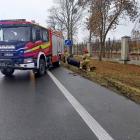 Fotka nr 1 z 3