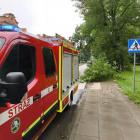 Fotka nr 1 z 4