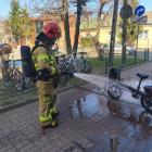 Fotka nr 1 z 2