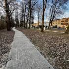 zdjęcie nr 19