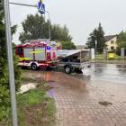 Fotka nr 3 z 12